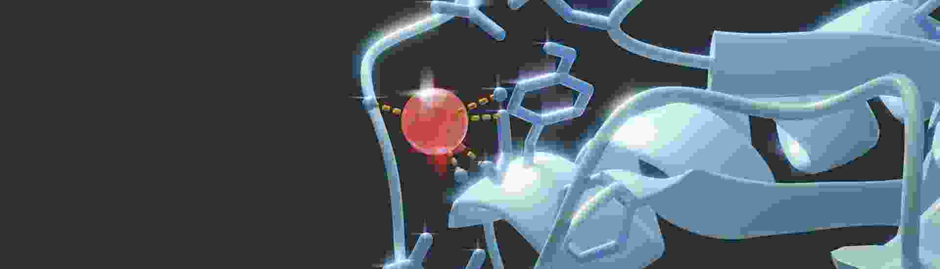 close up image of a red sphere in between blue protein ribbons in a black background 