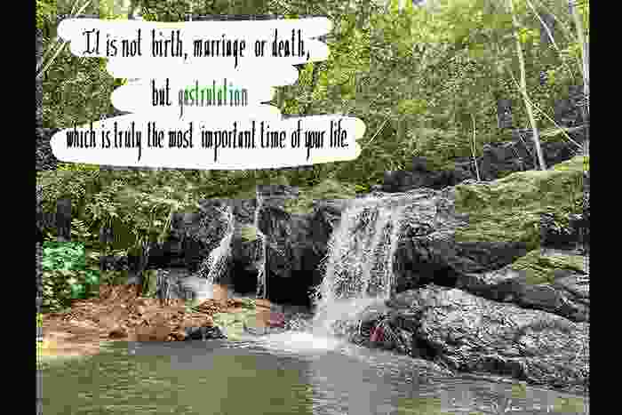 a photo of a waterfall in a lush green background of plants with text overlay