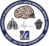 Neuro Trauma ICO logo