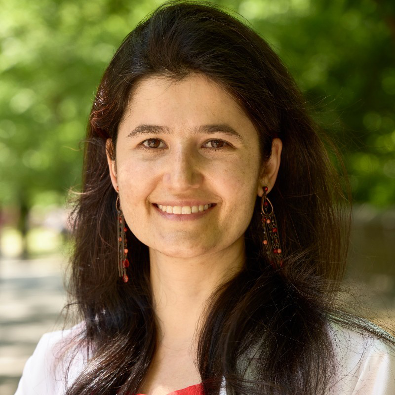 Veronica Peschansky, MD, PhD