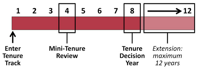 Tenure Probationary Period Timeline