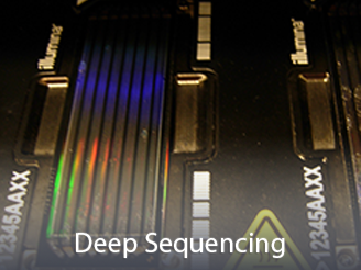  Cores-DeepSequencing.png