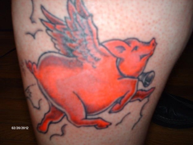 An almost complete flying pig tattoo in Caribbean Pink with a bell around its neck