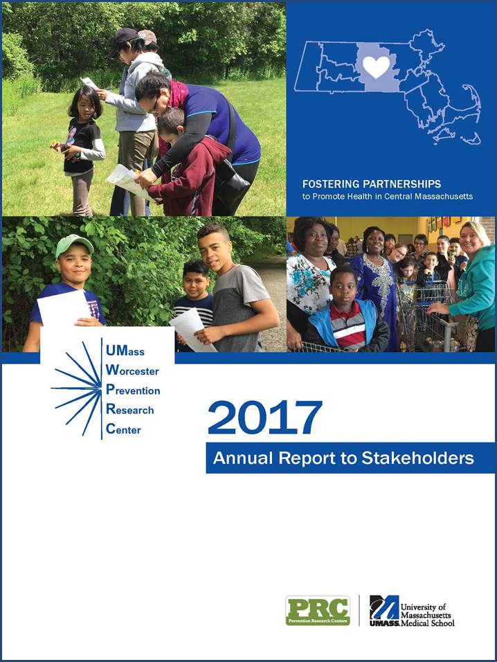 2017 Report