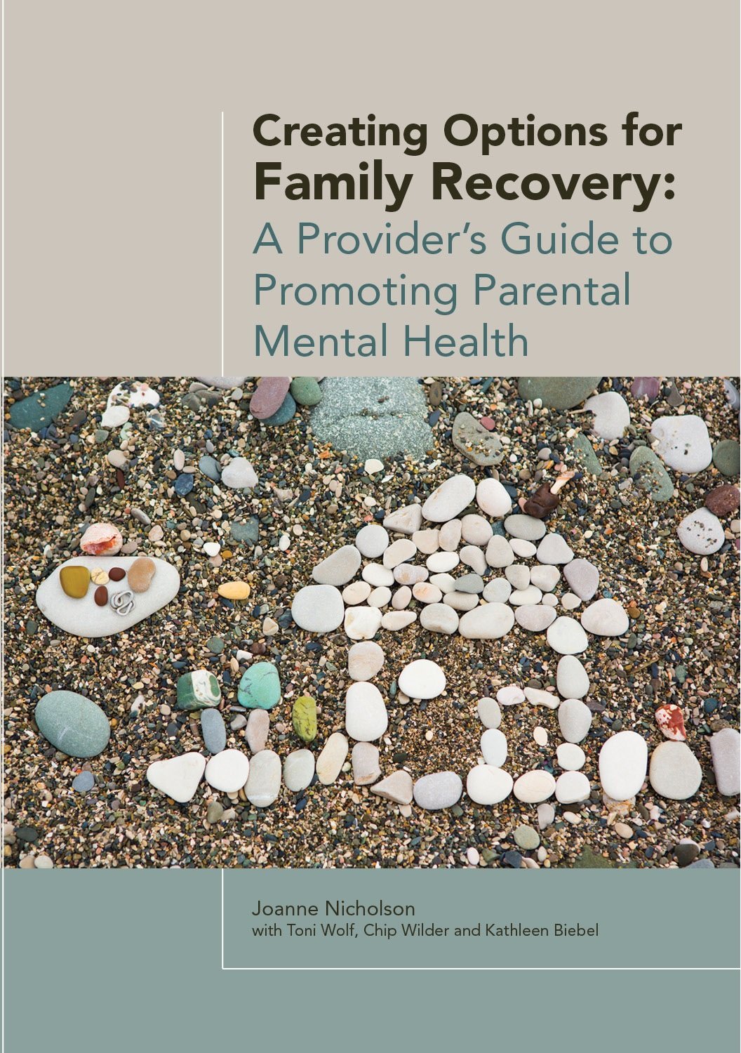 Creating Options for Family Recovery