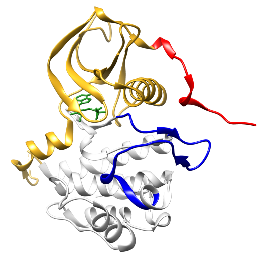 kit structure - sarcoma lab