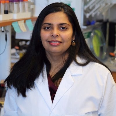 Ami Ashar-Patel, PhD