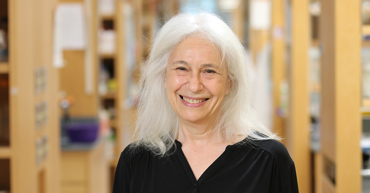  Ann Marshak-Rothstein, PhD