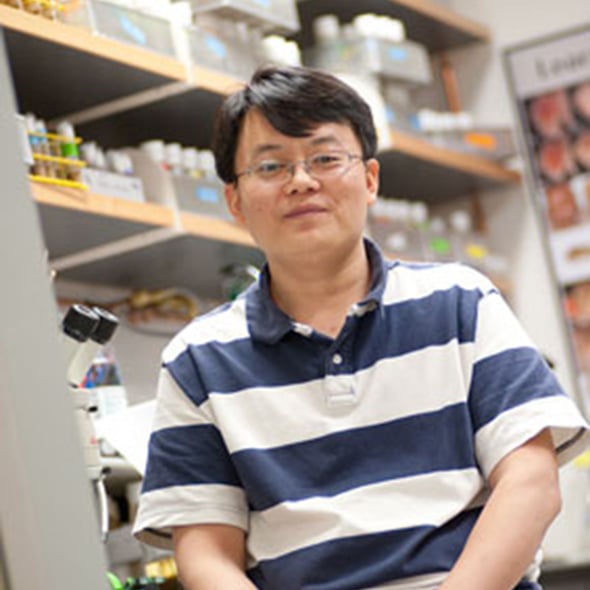 Chengjian Li, PhD