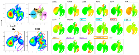 Nucleic Acid Receptors and Monogenic Autoinflammation