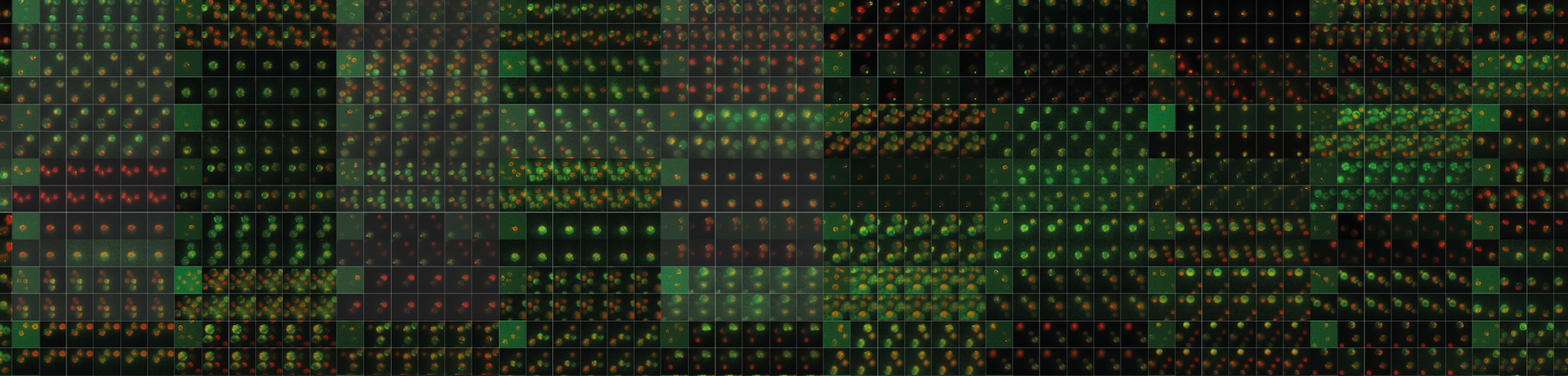 RNA images
