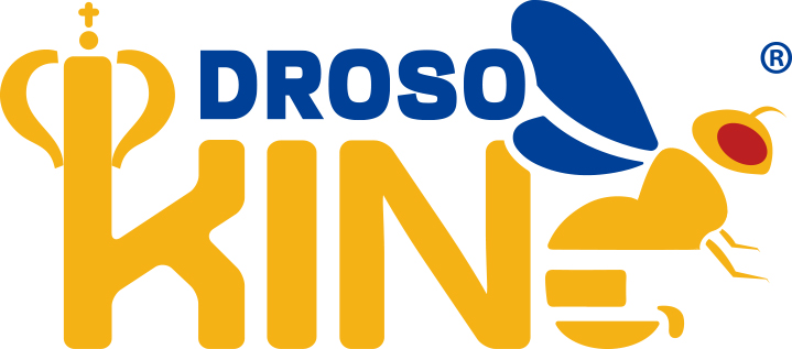 Drosoking logo