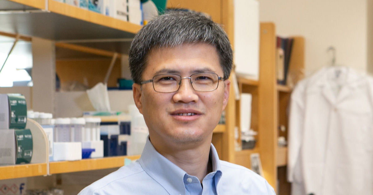 Hong Zhang, PhD