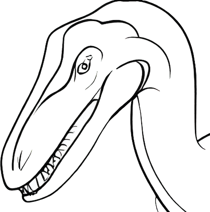 Velociraptor head