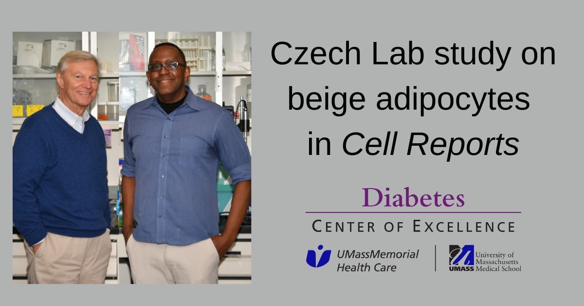 michael-czech-beige-adipocytes-cell-reports.jpg