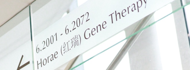 gene therapy center block.jpg