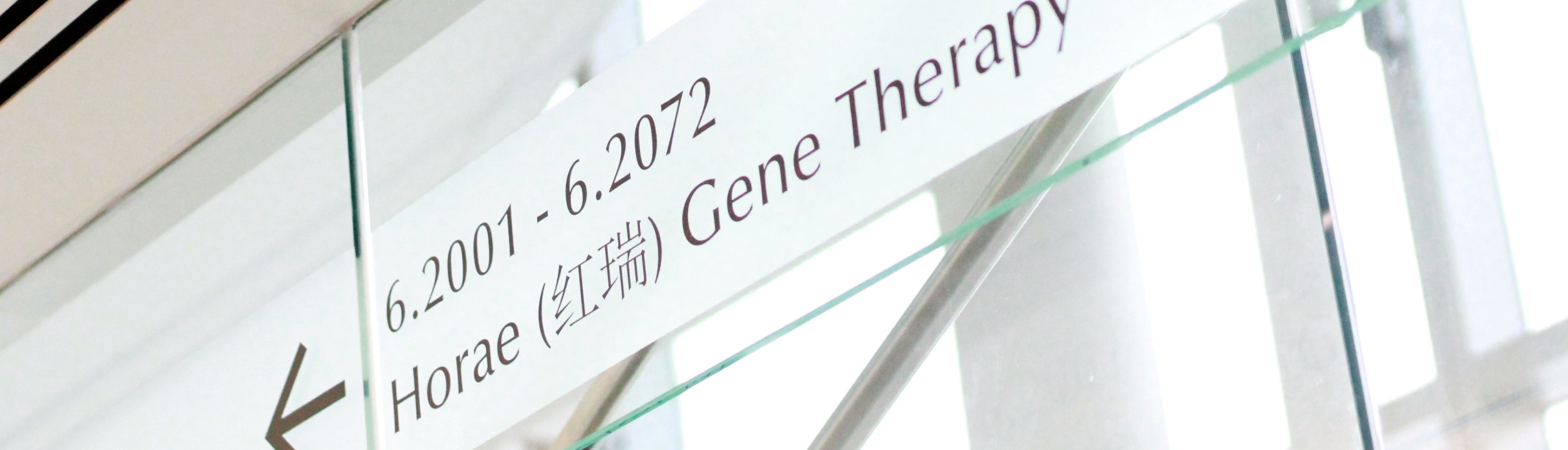 Horae Gene Therapy Center