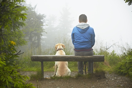 Man sitting on a bench outside in the fog with his dog by his side