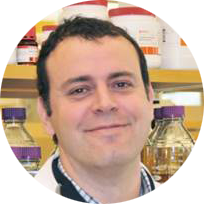 Dr. Miguel Sena-Esteves from the Esteves Lab (Horae Gene Therapy Center) is conducting research and developing therapeutic strategies for rare inherited diseases such as the Tay-Sachs disease