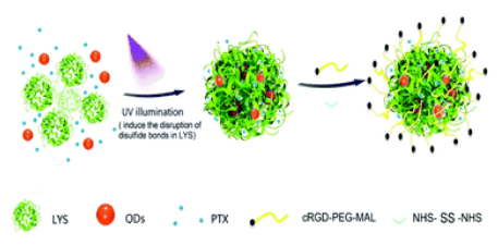 A photo-inducible protein–inorganic nanoparticle assembly for active targeted tumour theranostics