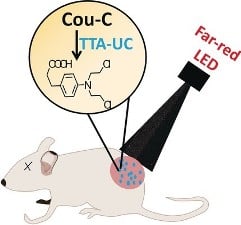 Expanding Anti-Stokes Shifting in Triplet-triplet Annihilation Upconversion for In Vivo Anticancer Prodrug Activation