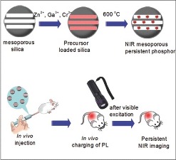 In Vivo Repeatedly Charging Near‐Infrared‐Emitting Mesoporous SiO2/ZnGa2O4:Cr3+ Persistent Luminescence Nanocomposites