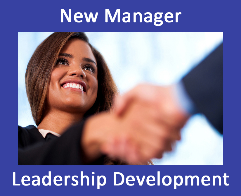 Leadership Development Article Series