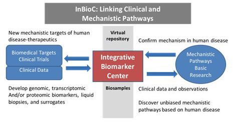 InbioC-pathways.jpg