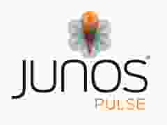 junos-pulse.png