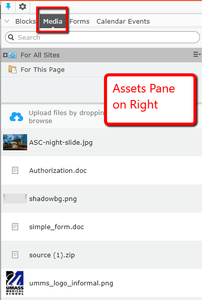Assets pane is on the Right side of the CMS UI