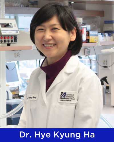 Dr. Hye Kyung Ha