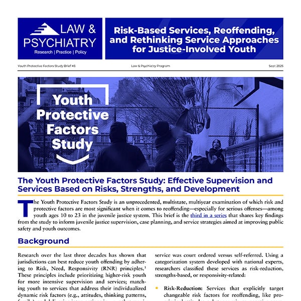 risk based brief thumbnail small sq all text