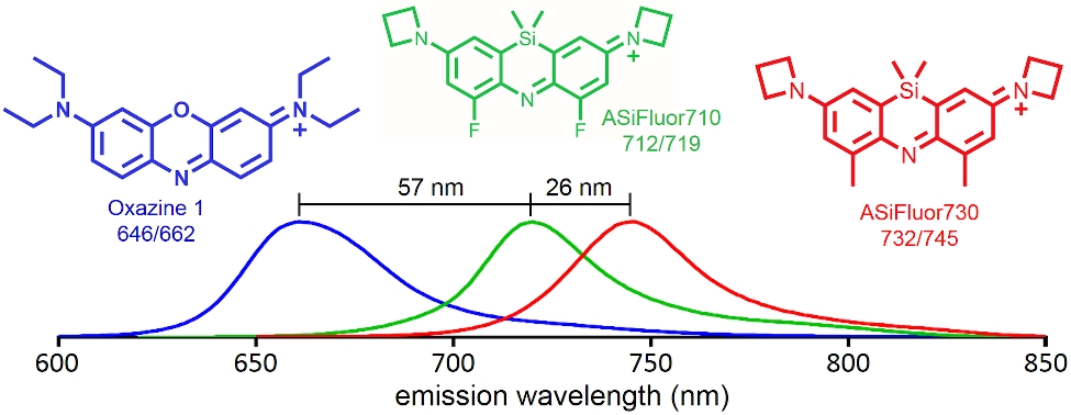 Fluorescent probes beyond the visible range