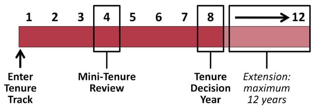 Tenure Probationary Period Timeline
