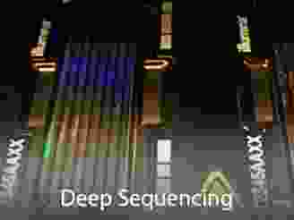 Cores-DeepSequencing.png