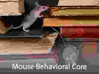 Cores-MouseBehavioralCore.png