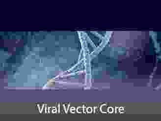 Cores-ViralVector.png