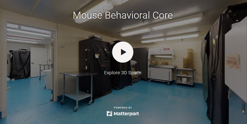 3D-Tour-Mouse-Behavioral-Thumbnail.jpg