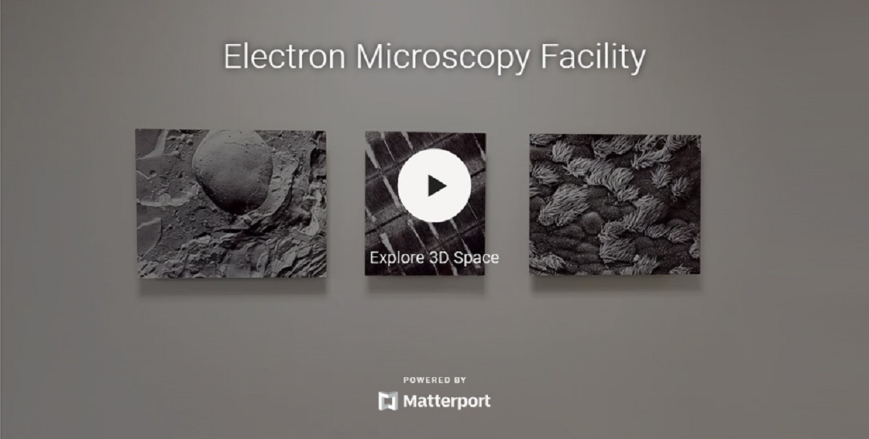 Electron Microscopy 3DTour Thumbnail large LK.jpg