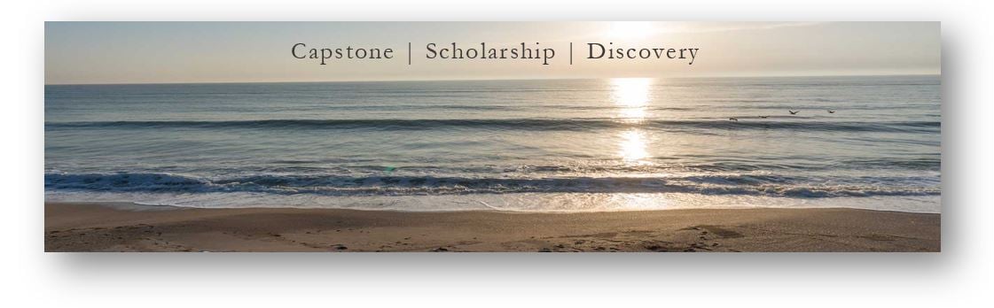 Capstone Scholarship and Discovery Course
