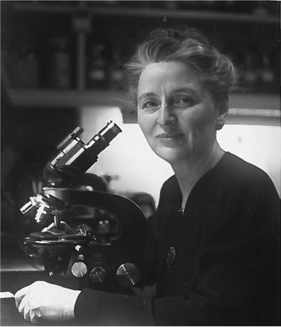 Dorothy Wolff, PhD