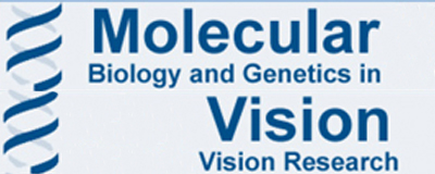Molecular Vision link