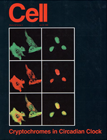 Cell 1999 cover