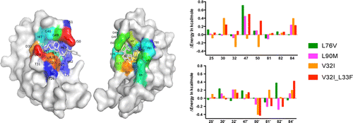 Drug resistance conferred by mutations outside the active site through alterations in the dynamic and structural ensemble of HIV-1 protease.