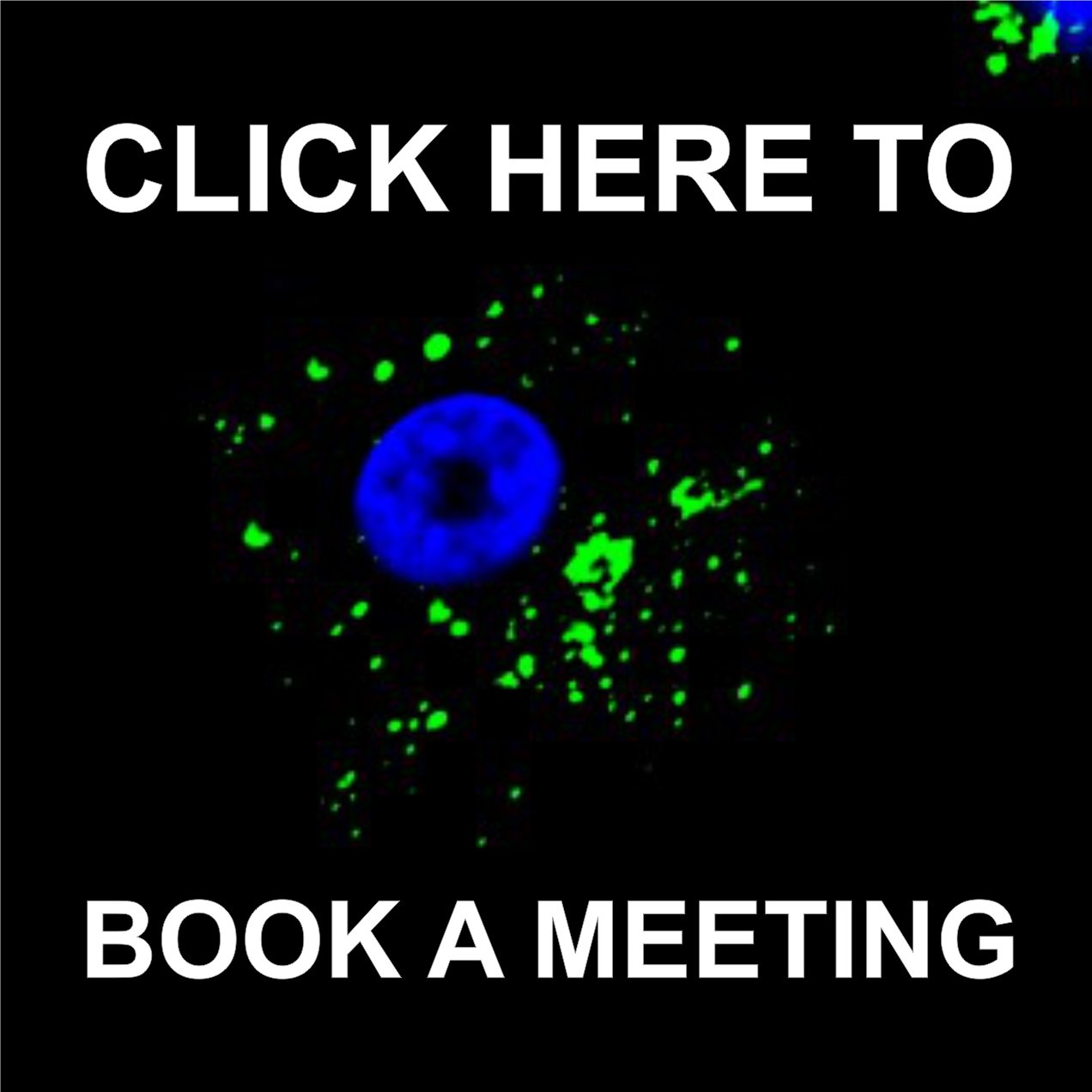 Click here to book a meeting