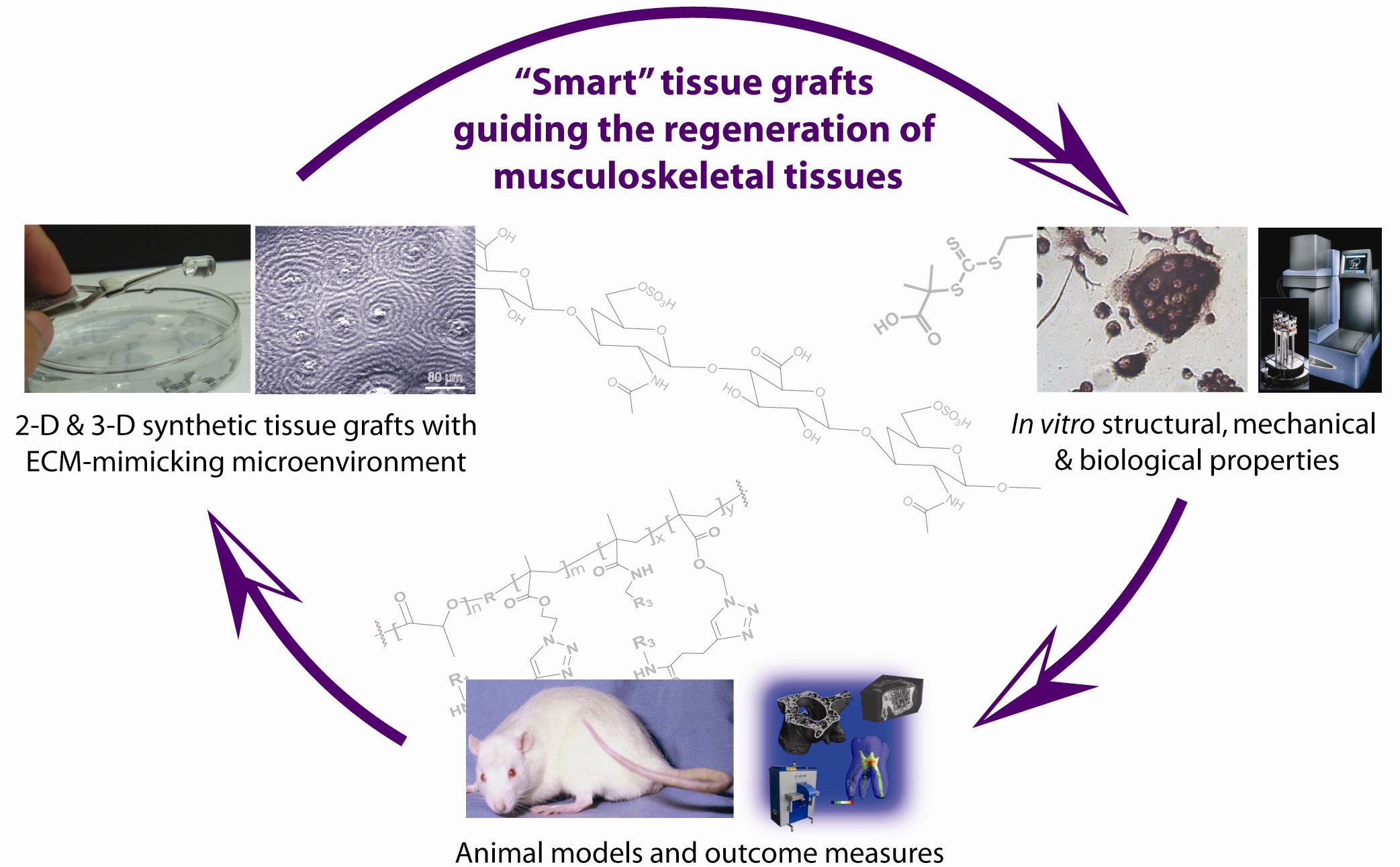 Synthetic tissue grafts and smart implants guiding the repair and regeneration of musculoskeletal tissues
