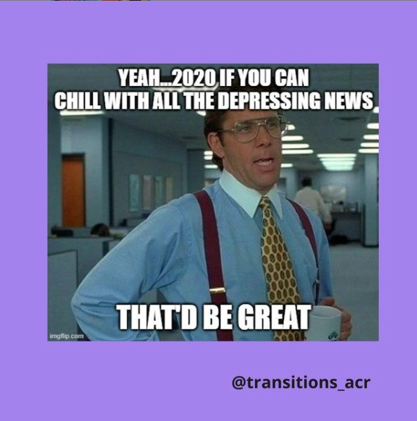 Meme Project | Transitions to Adulthood Center for Research