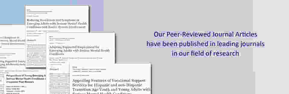 Peer reviewed journal articles image