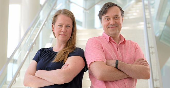 UMass Chan scientists show ribosomes play unexpected role in blood vessel formation