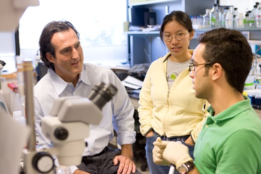 Craig C. Mello in the lab with students